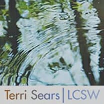 Terri Sears - Client Success Story